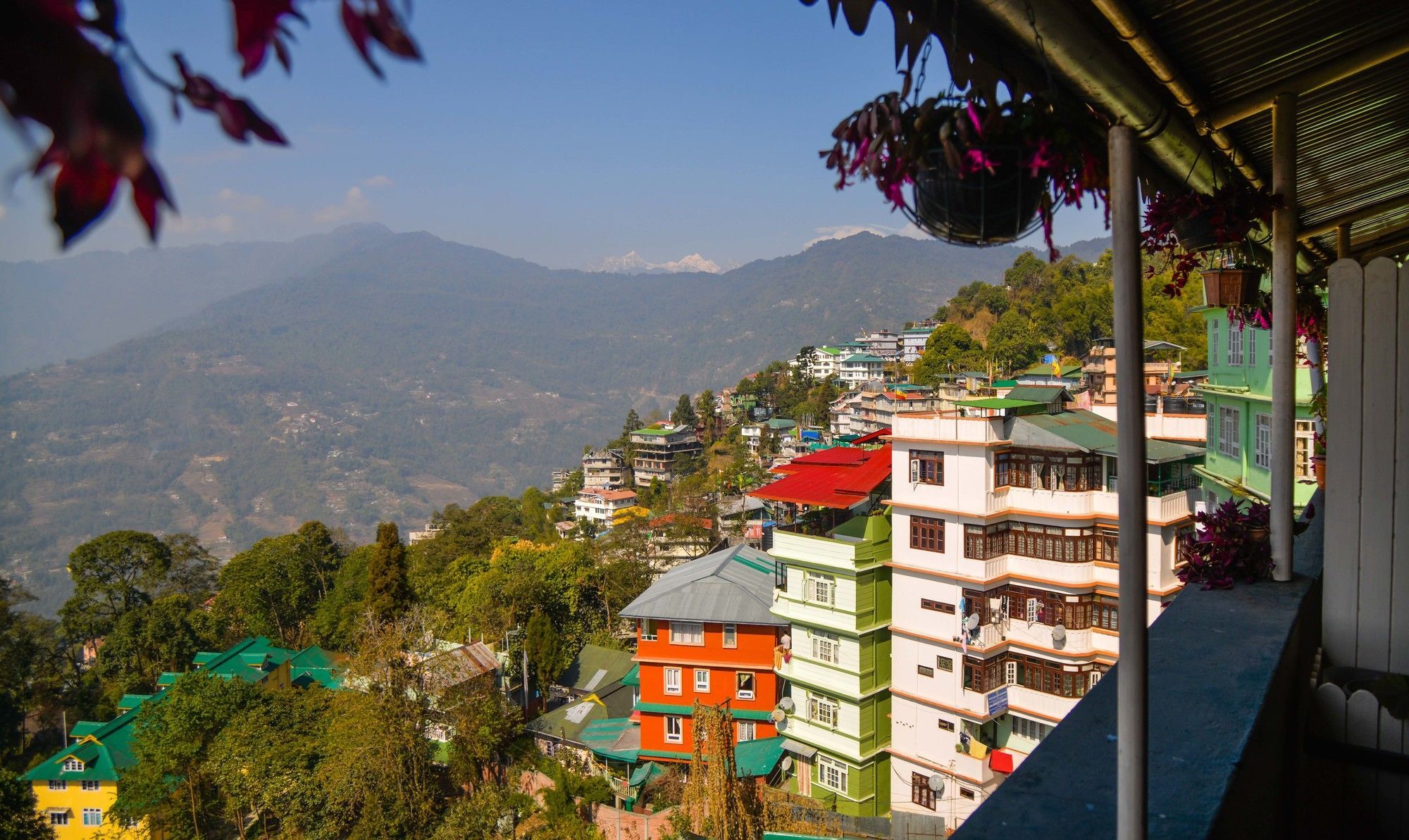 Hotel The Nettle And Fern Gangtok